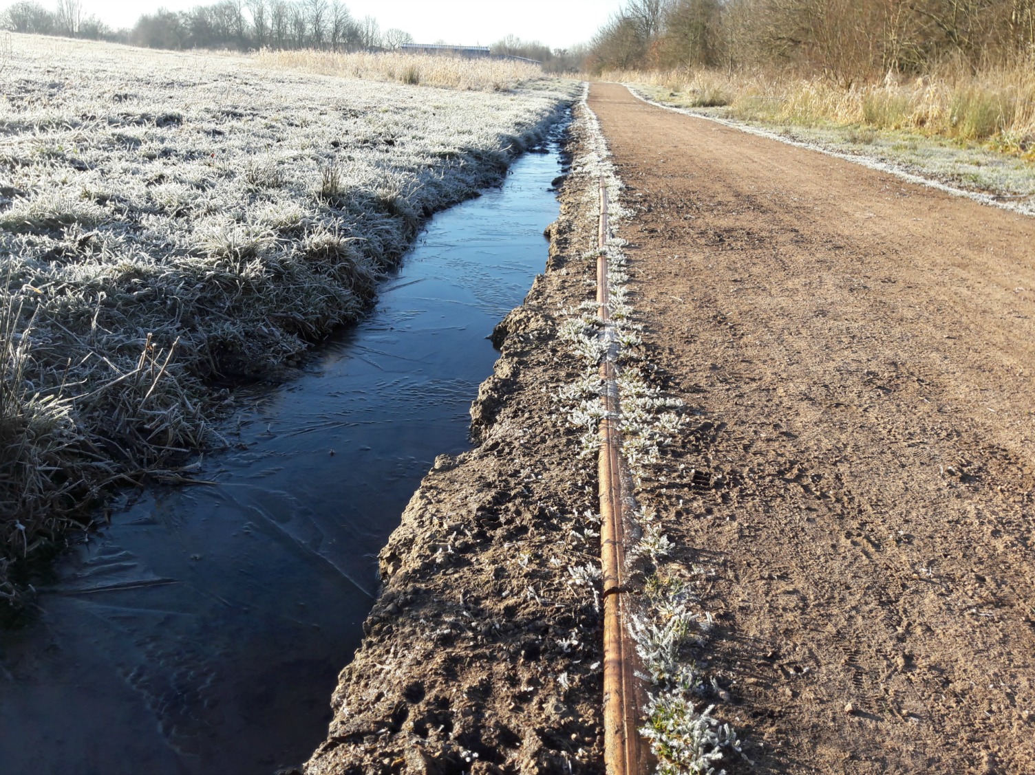 Frosty morning - www.winwickmum.co.uk