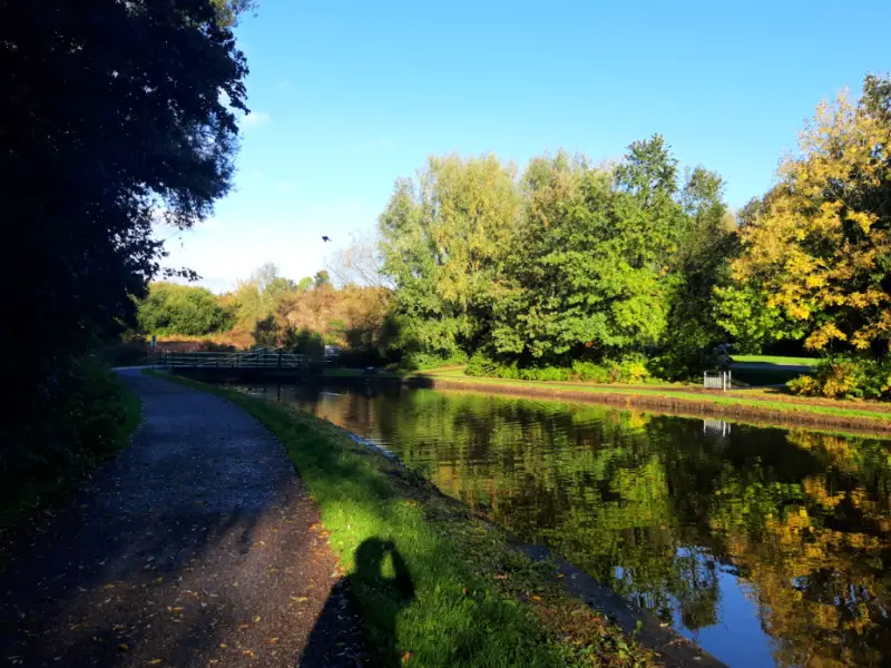 The same canal from a different angle. Some of these trees still have green leaves. You can see my shadow on the grass where I'm taking the photo