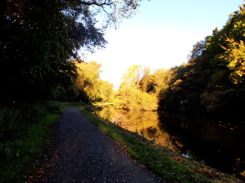 Looking back along the towpath. The leaves on the trees are golden and the canal reflects them and the blue sky
