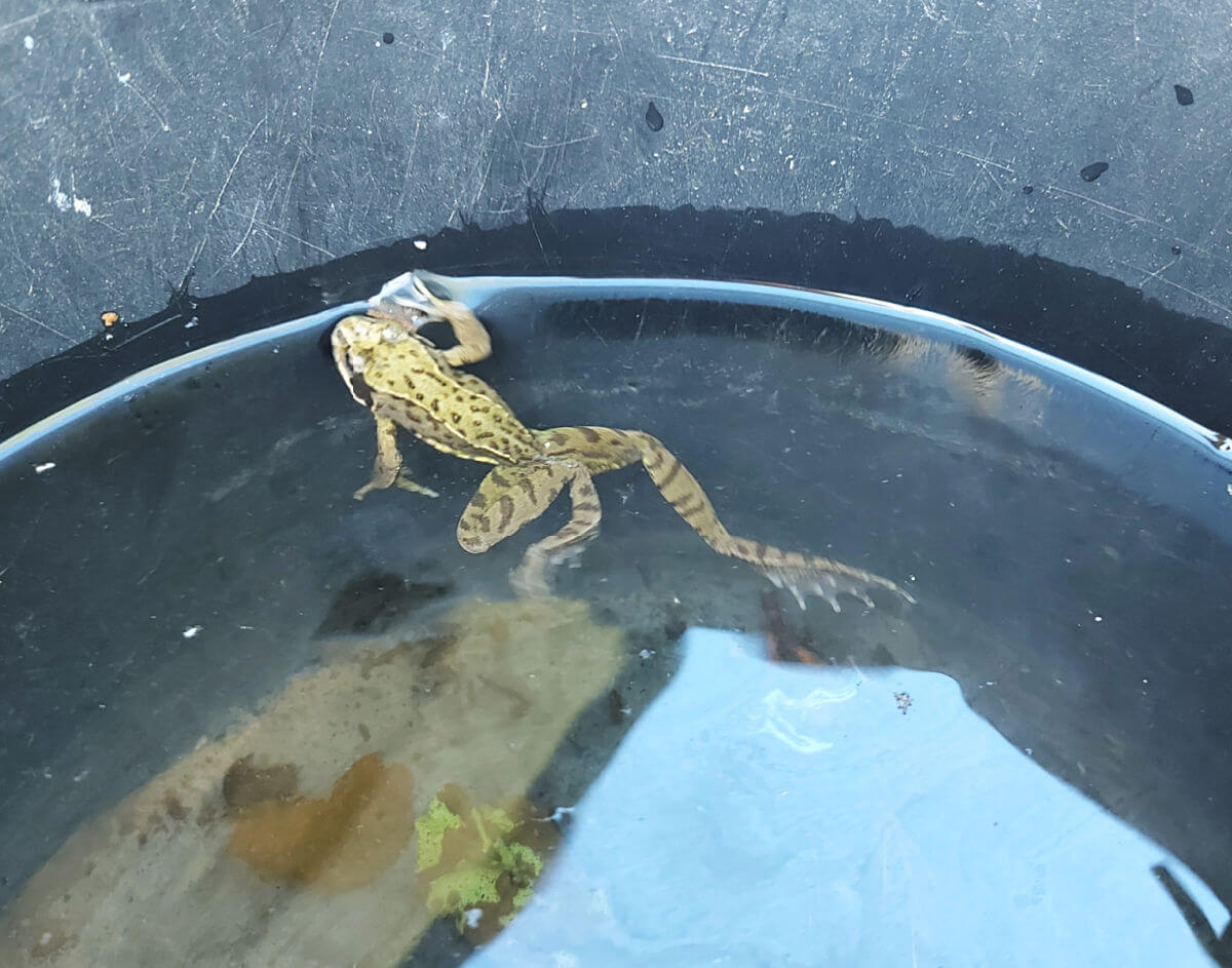 A much better week! Winwick Mum