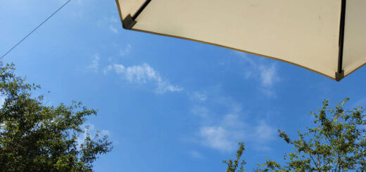 A blue sky with wispy clouds is visible between green tree tops and a cream sun parasol