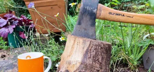An axe wedged in a log of wood. The wood is balanced on a large stone and there is a flower border in the background.