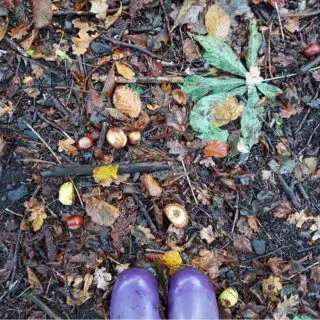 The ground is littered with fallen leaves and conkers. A pair of purple wellies are at the bottom of the photo