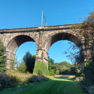 Two arches of a brick built railway viaduct against a brilliant blue sky. The foot of the arches are covered with vegetation.