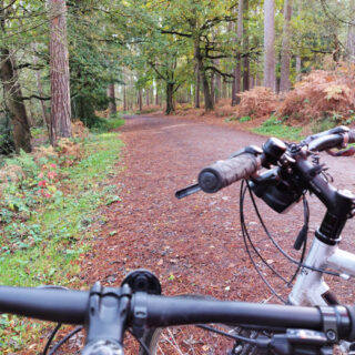 A forest path with bike handlebars in the foreground