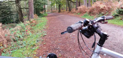 A forest path with bike handlebars in the foreground
