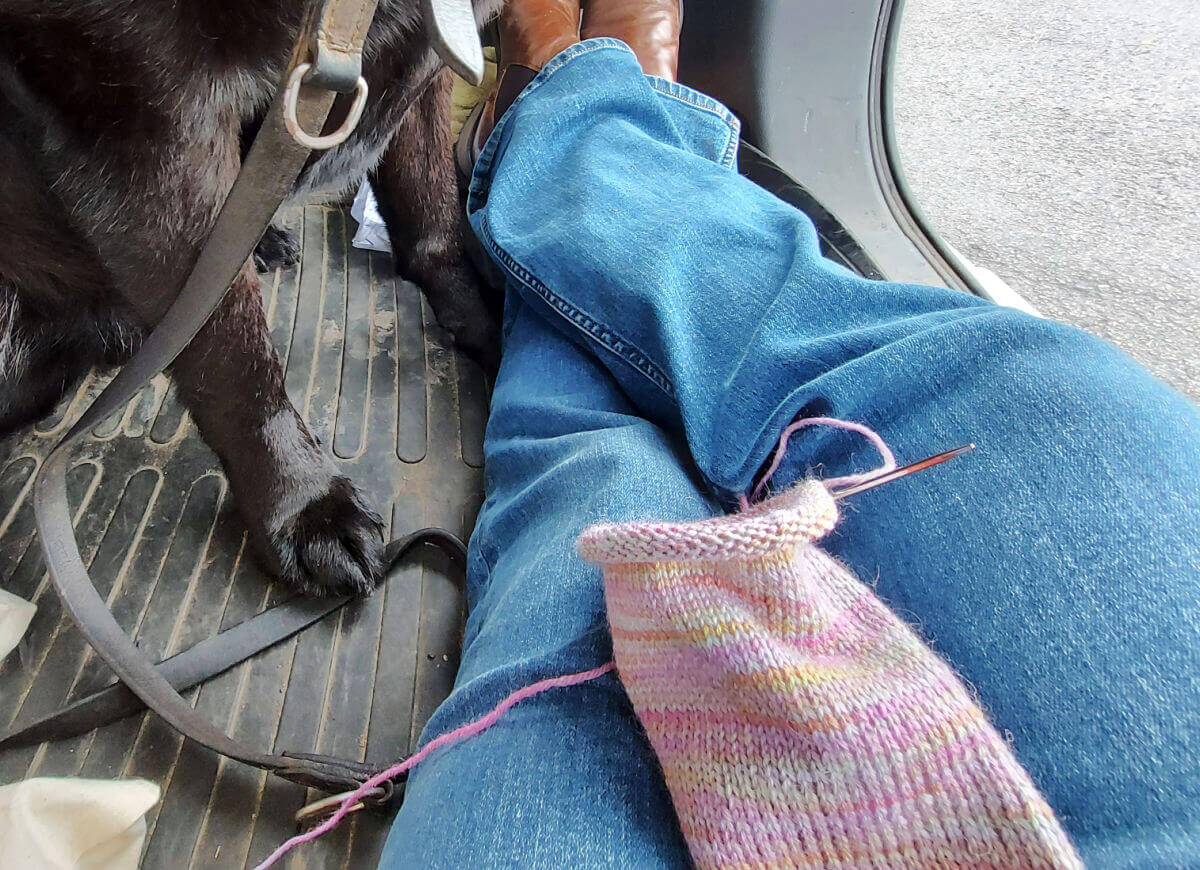Christine is sitting in the boot of the car with her half-knitted pastel-coloured sock on her knee. She's wearing jeans and brown boots. A black dog is sitting next to her.