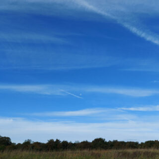 A blue sky layered with wispy white clouds. There is vegetation in the foreground. A daytime moon is in the centre of the photo.