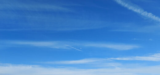 A blue sky layered with wispy white clouds. There is vegetation in the foreground. A daytime moon is in the centre of the photo.