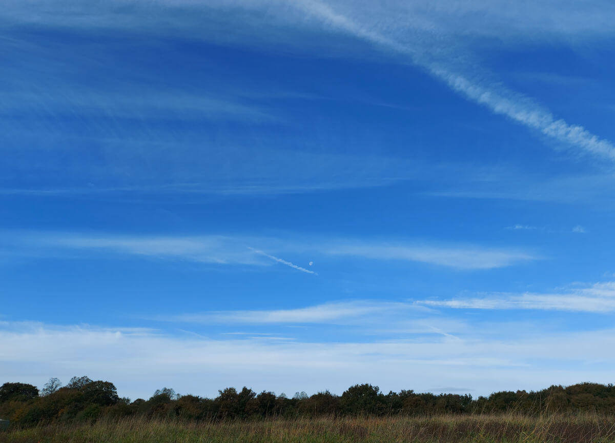 A blue sky layered with wispy white clouds. There is vegetation in the foreground. A daytime moon is in the centre of the photo.