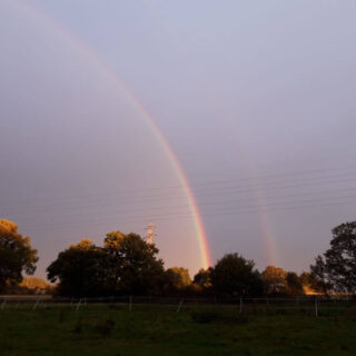 A double rainbow behind a line of trees against a dark grey sky