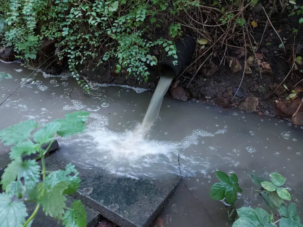 Water flows from a pipe in the bank into a small stream.