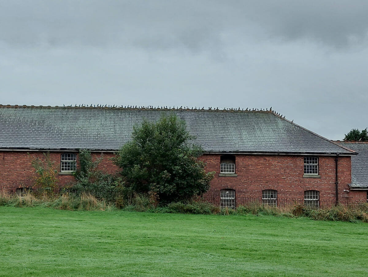 A long, low, brick-built barn with a tiled roof.  The roof is made of grey tiles with ornate ridge tiles.  There is a wood pigeon sitting on each of the ridge tiles.