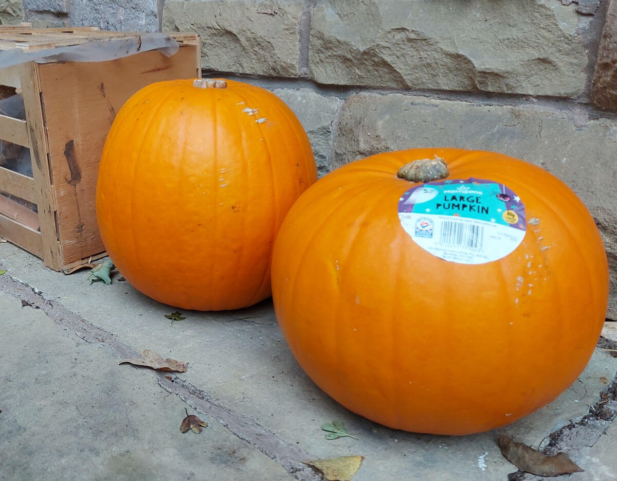 Two large orange pumpkins sitting on a stone step, waiting to be carved.