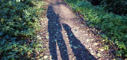 The sun is behind Christine and the dog and it throws their shadows onto the woodland path.