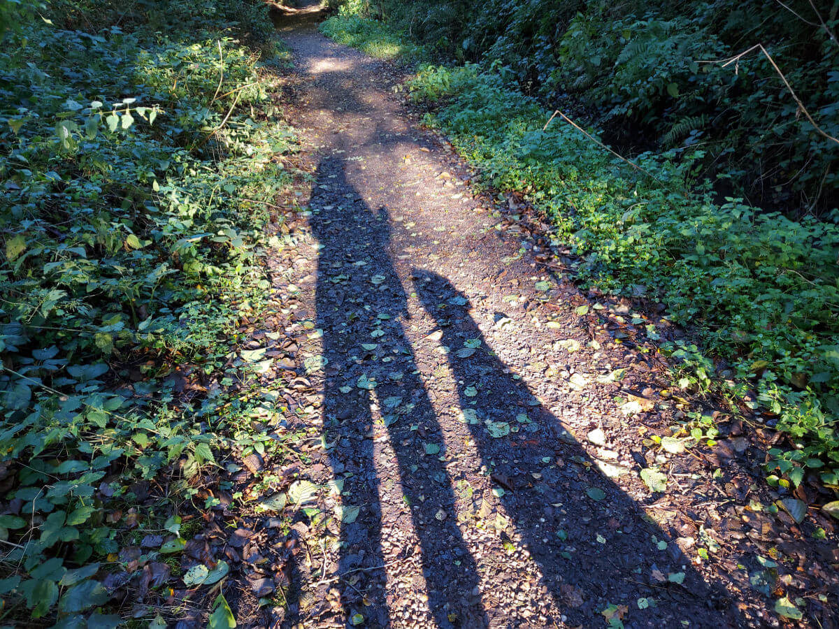 The sun is behind Christine and the dog and it throws their shadows onto the woodland path.