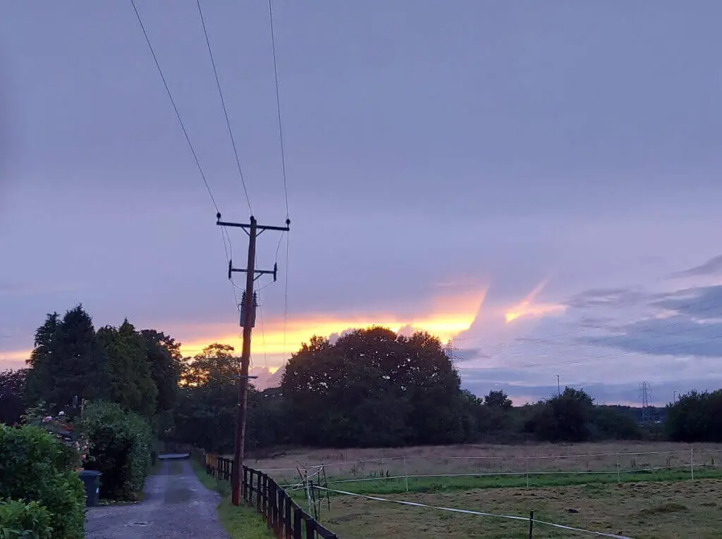 The sun is setting behind the trees, turning the clouds pink and orange against a grey sky.