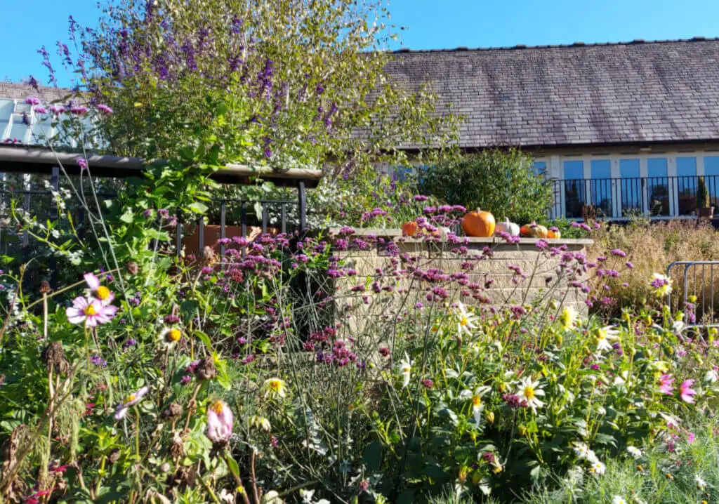 A view from below the welcome centre across a perennial border to the welcome centre.