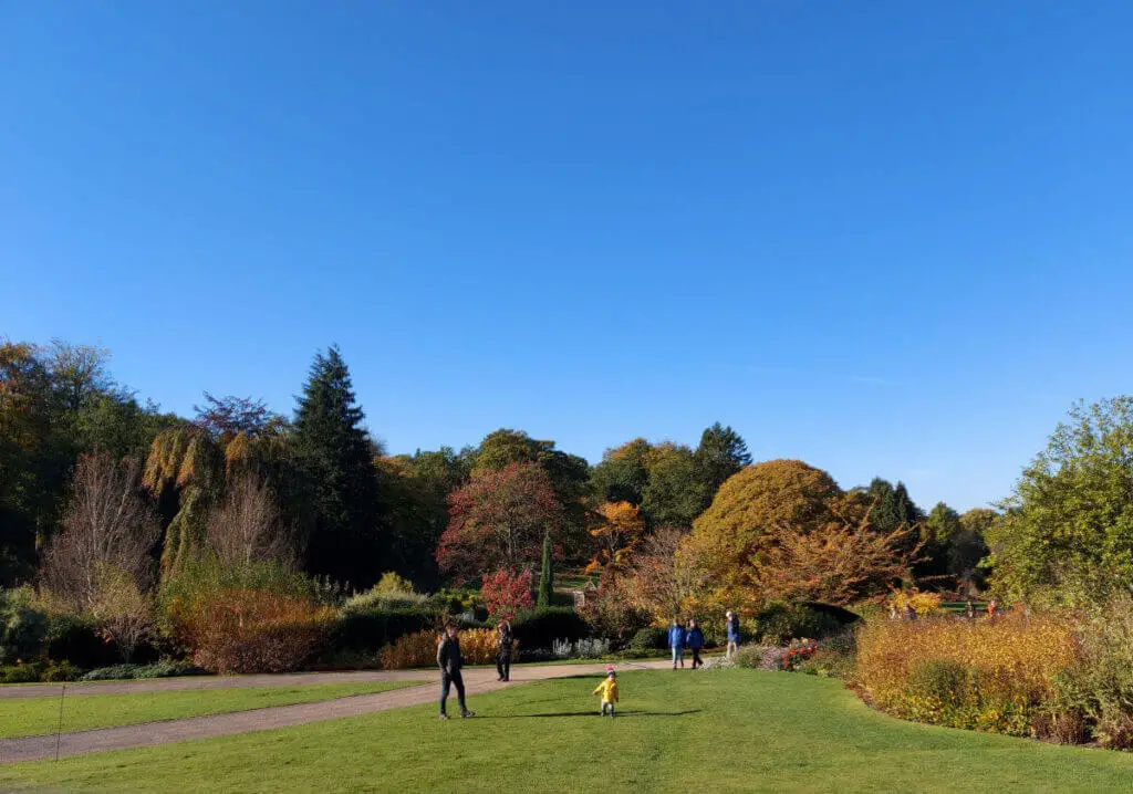A view from the welcome centre across a large lawn to borders filled with trees and shrubs, all with autumn colours of reds and oranges