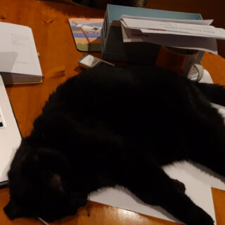 A black cat is lying on some papers on a table next to a laptop