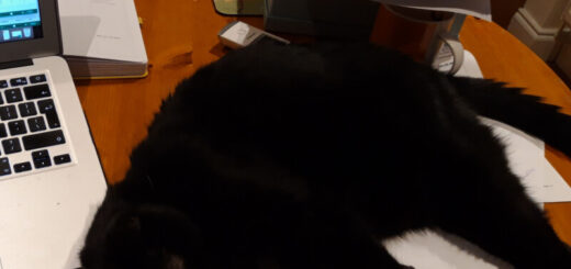 A black cat is lying on some papers on a table next to a laptop