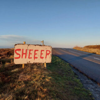 A road sign next to a moorland road. The red letters on the white background read "Sheeep" (sheep with 3 E's)