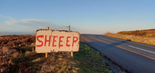 A road sign next to a moorland road. The red letters on the white background read "Sheeep" (sheep with 3 E's)