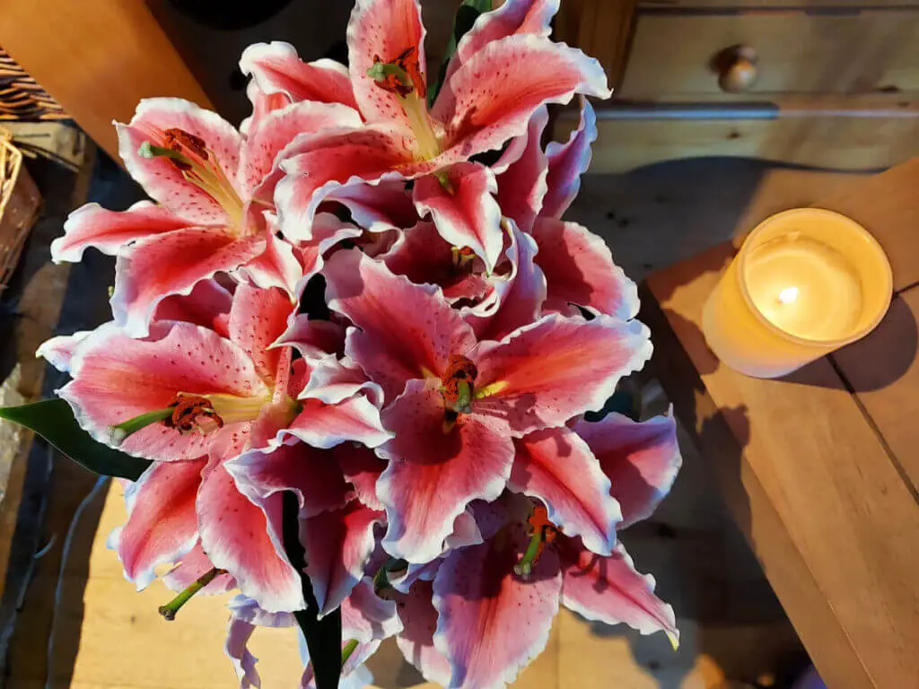 Pink stargazer lilies in a pot next to a wooden table with a candle on it.