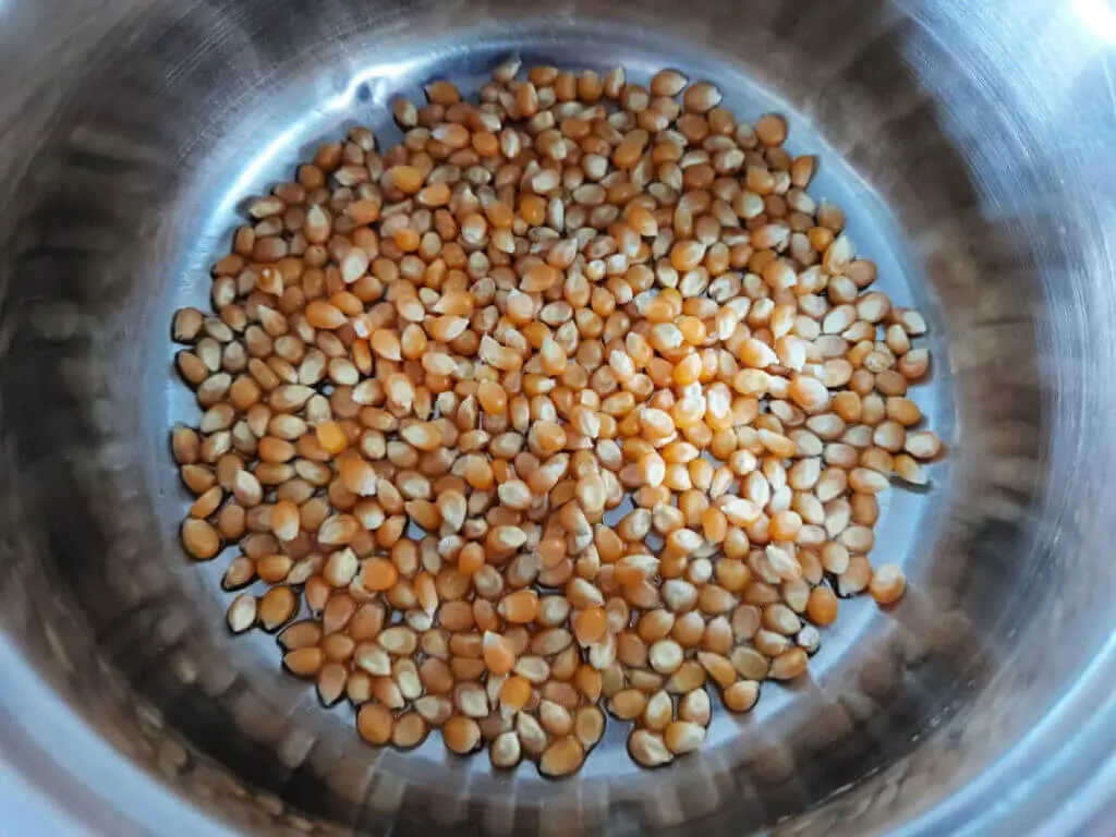 Yellow popcorn kernels covering the base of a metal pan