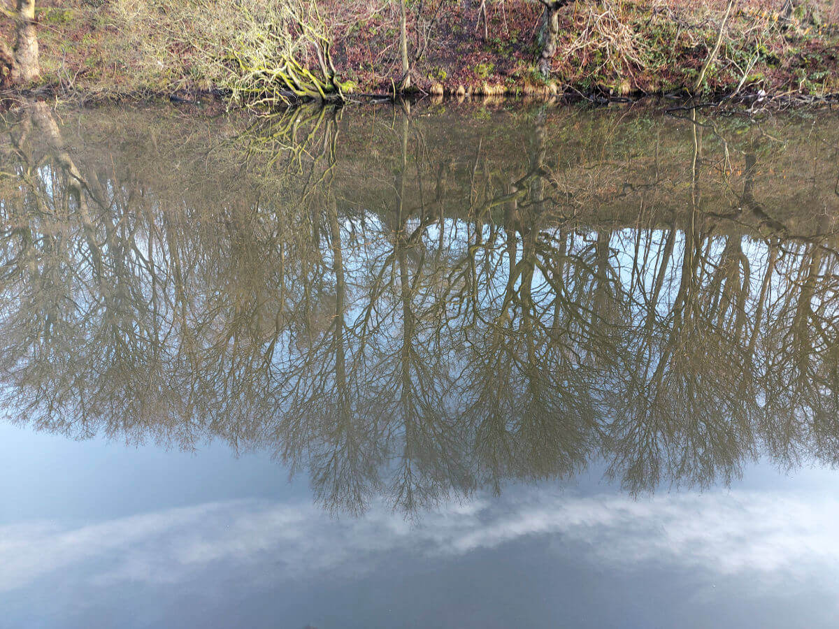 Trees reflected in a canal. The sky and an aeroplane vapour trail is also reflected