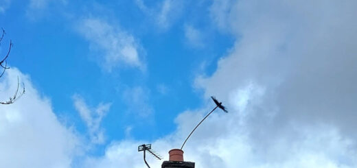 A traditional chimney sweep brush sticks out of a chimney pot against a blue and cloudy sky