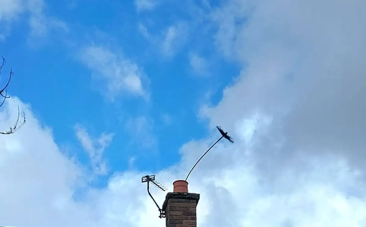 A traditional chimney sweep brush sticks out of a chimney pot against a blue and cloudy sky