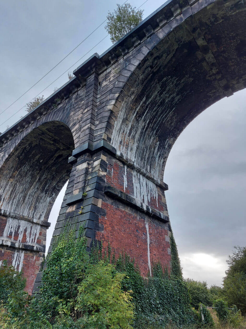 Close up of a brick built railway arch against a grey sky. There are trees at the bottom and limestone water marks down the inside of the arch.