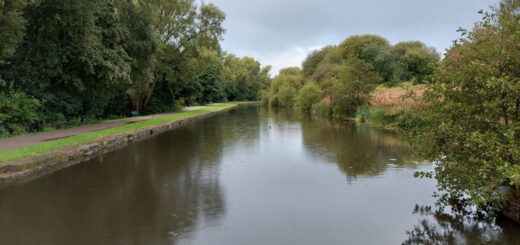 Looking out across a canal from a bridge. The water is very still, there are trees on both sides and grey clouds above. It's raining and you can see it splashing in the water