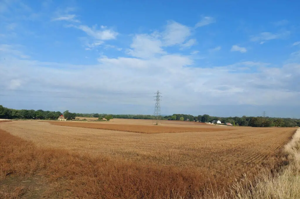 A view across a field that has been harvested to leave areas of crops. The field is two different shades of brown where the crops have been cut.