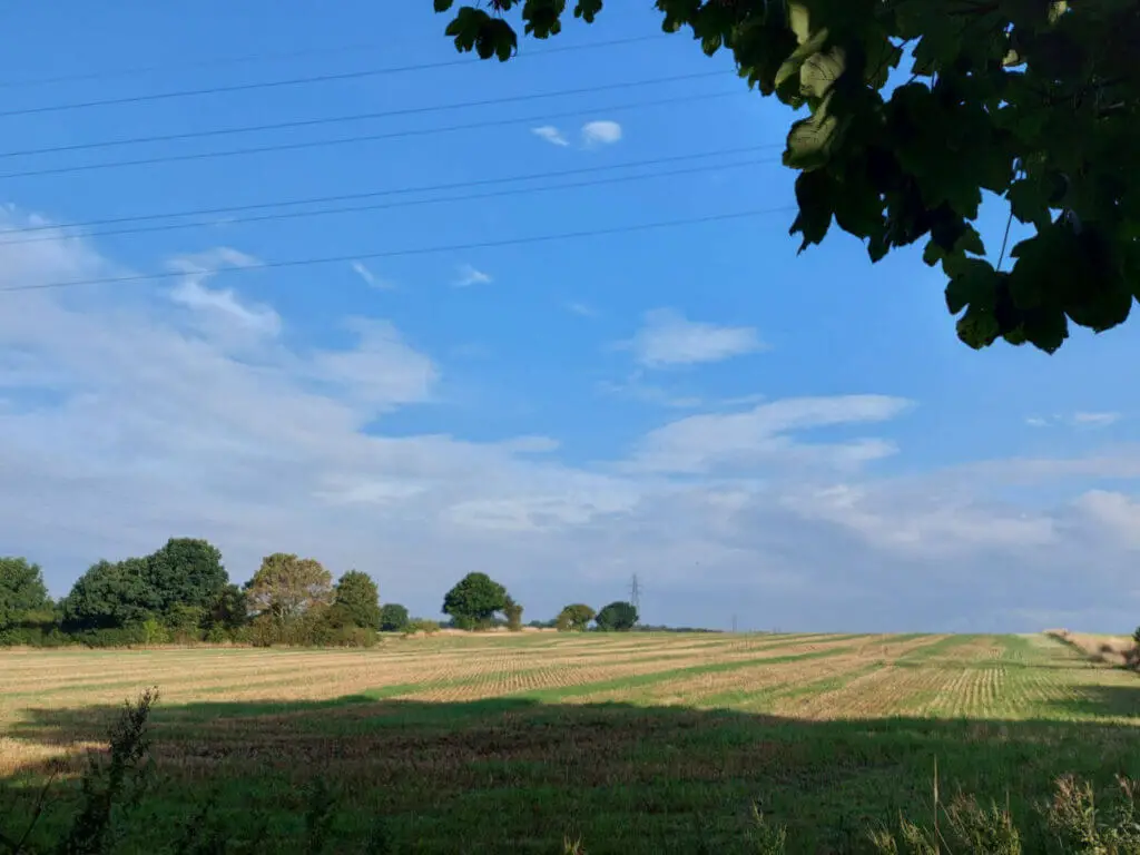 A view across a harvested field from underneath a tree. The shadow of the tree is on the ground and beyond that, the field is both golden from the cut barley stalks and green where the grass is starting to grow through. The sky is blue with a few clouds.