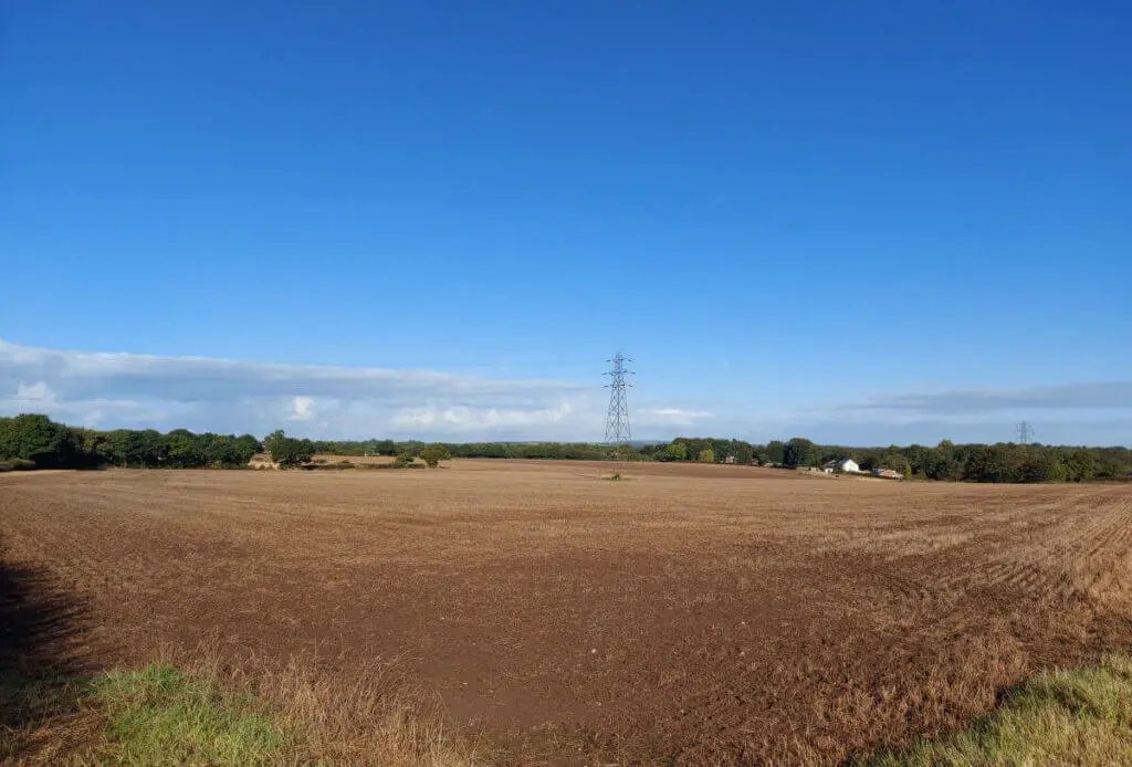 A bare brown field now that the crop has been harvested