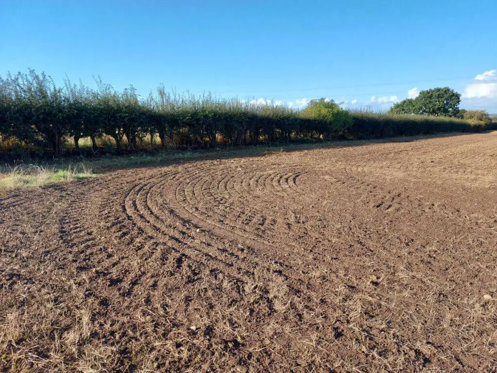 Curved drill lines in soil for wheat sowing