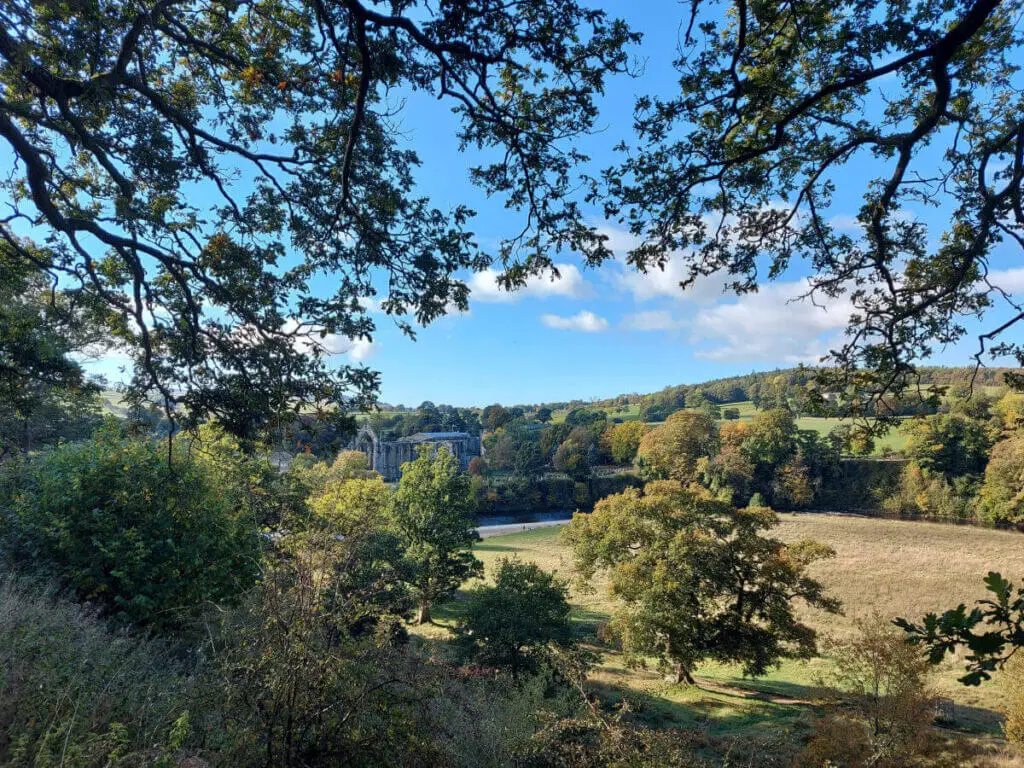 A glimpse of Bolton Abbey in the distance through the trees