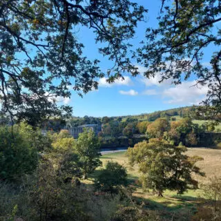 A glimpse of Bolton Abbey in the distance through the trees