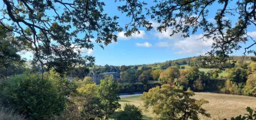 A glimpse of Bolton Abbey in the distance through the trees