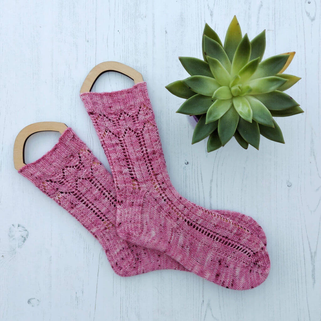 A pair of pink lacy socks on sock blockers lying on a white wooden board. Next to them is a green succulent plant