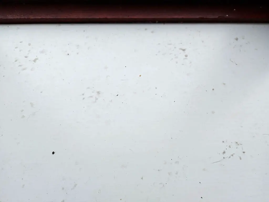 Dirty wet cat footprints on a white painted wooden window sill