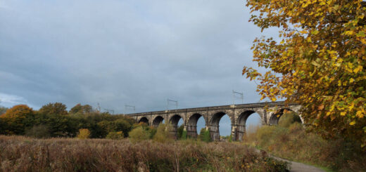 An arched viaduct bridge against a dark sky and autumn leaves