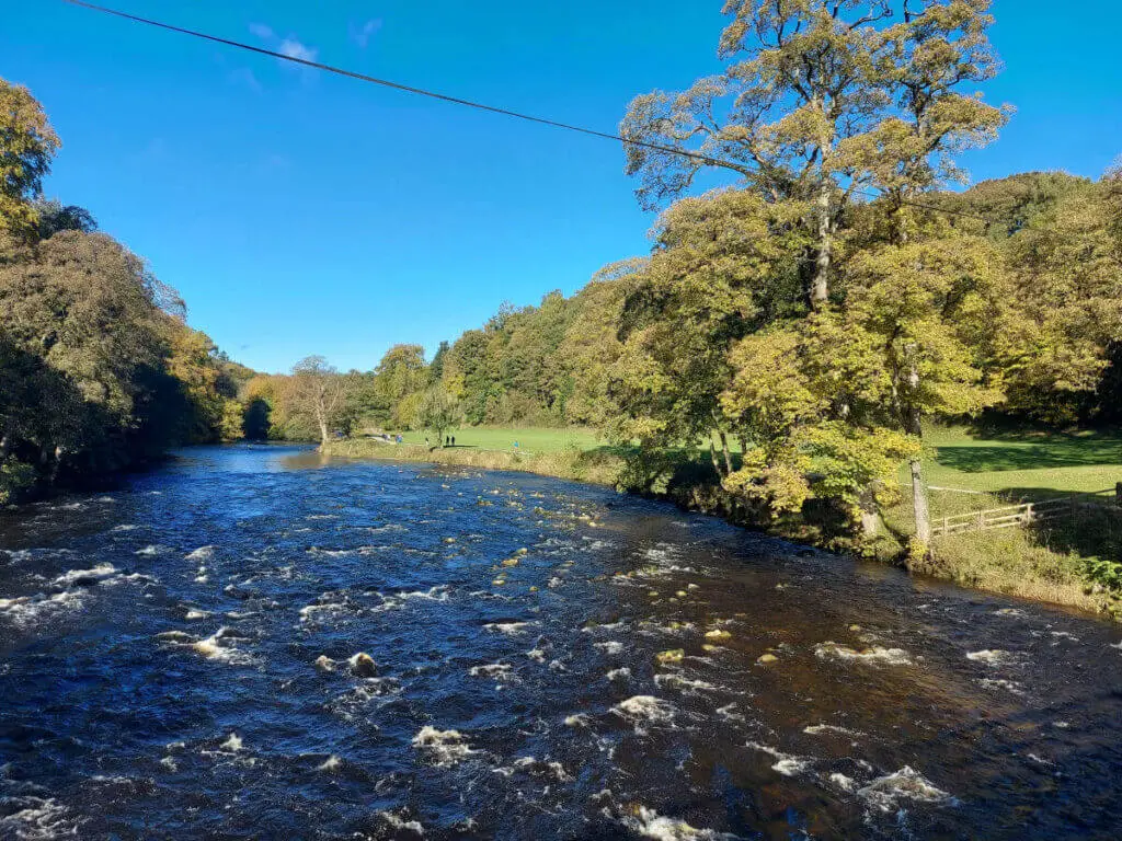 The River Wharfe is running high, the brown water breaking over the rocks. The sky is a brilliant blue and the trees are beautiful autumn shades