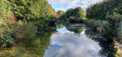 Looking out from a bridge across a canal. The cloudy sky is reflected in the water as are the trees lining the canal