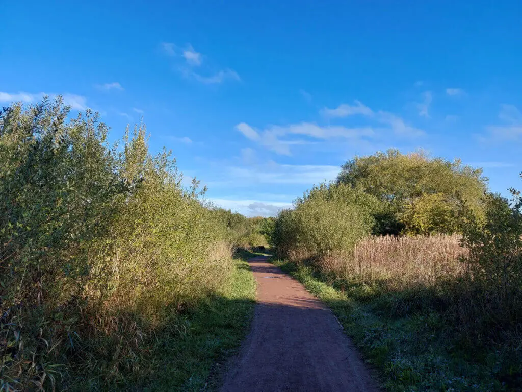 A wide red-gravelled footpath between bushes, leading into the distance. The sky is brilliant blue.