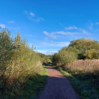 A wide red-gravelled footpath between bushes, leading into the distance. The sky is brilliant blue.