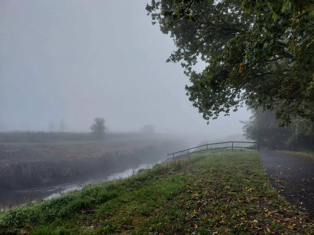 A misty footpath leading under a tree and alongside a brook.
