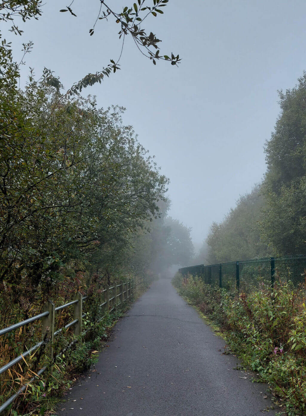 A footpath leading into the distance. It's misty and you can't see the end of the path. Trees and shrubs border the path on each side.